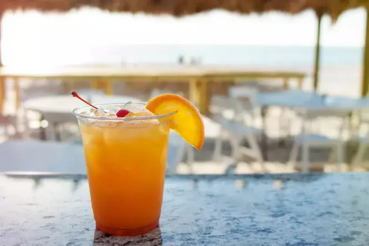 Best bar hopping on Anna Maria Island